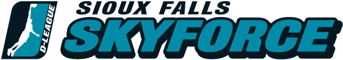 Sioux Falls Skyforce 2006-2012 Wordmark Logo v2 iron on transfers for clothing